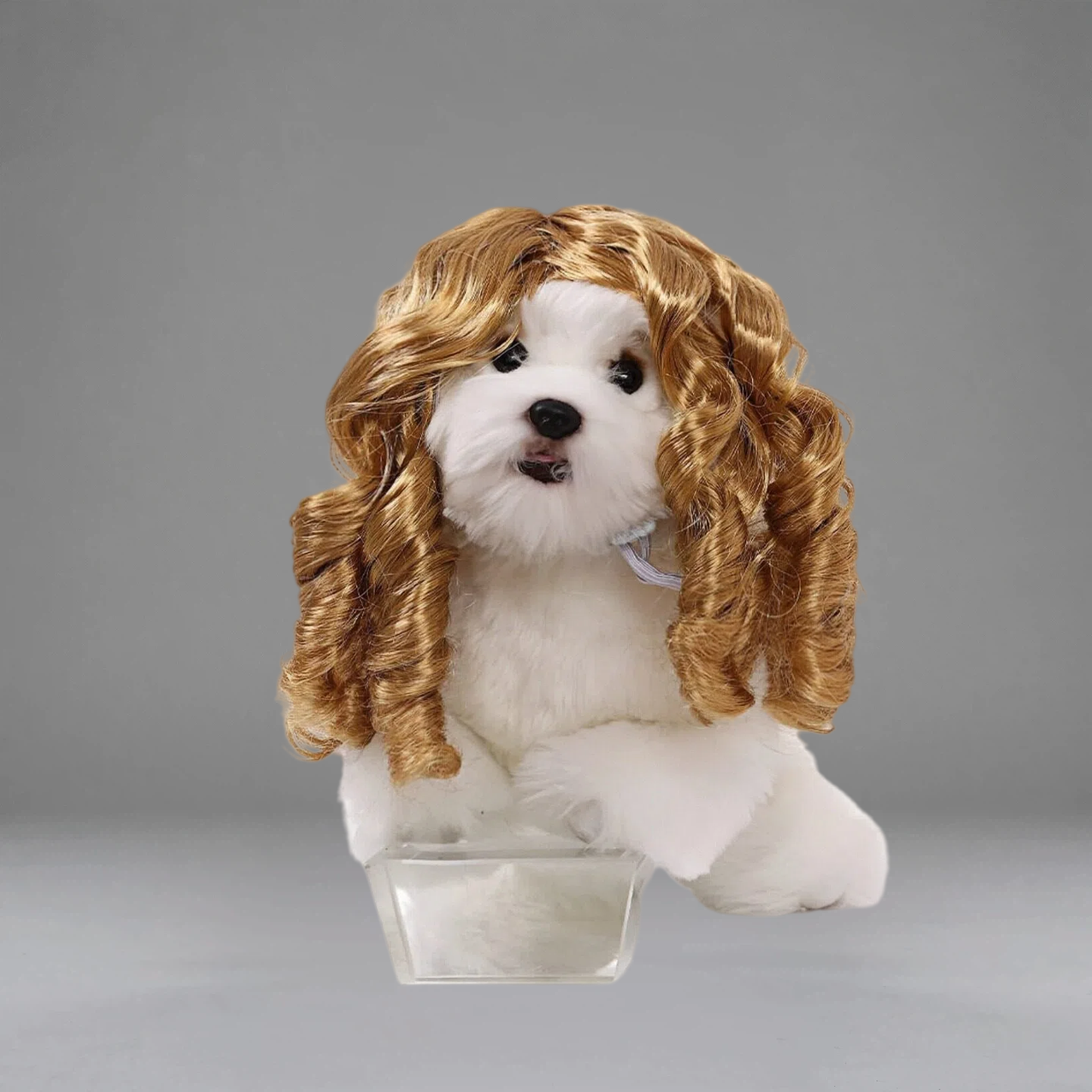 Funny Judge Pet Wig for Dogs & Cats – Curly Costume Hairpiece for Cute Photos & Dress-Up