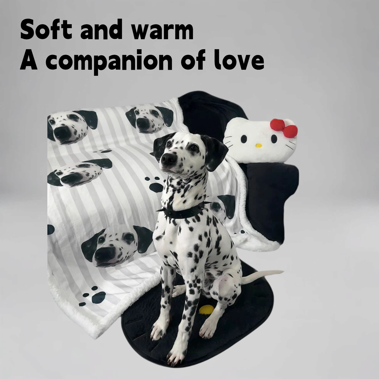 Personalized Pet Portrait Blanket | PET ARTIST