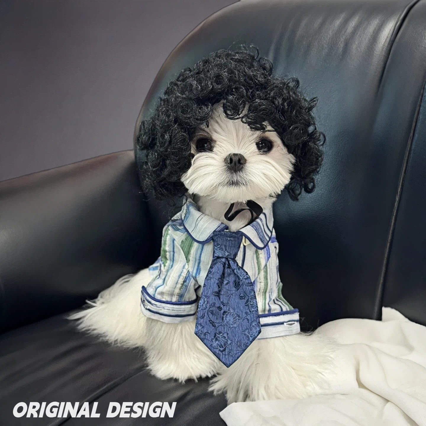 Pet Afro Wig for Dogs & Cats – Funny Curly Explosion Hair Costume for Cute Photos & Dress-Up