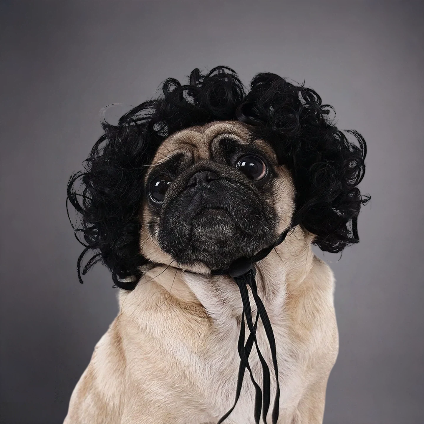 Pet Afro Wig for Dogs & Cats – Funny Curly Explosion Hair Costume for Cute Photos & Dress-Up