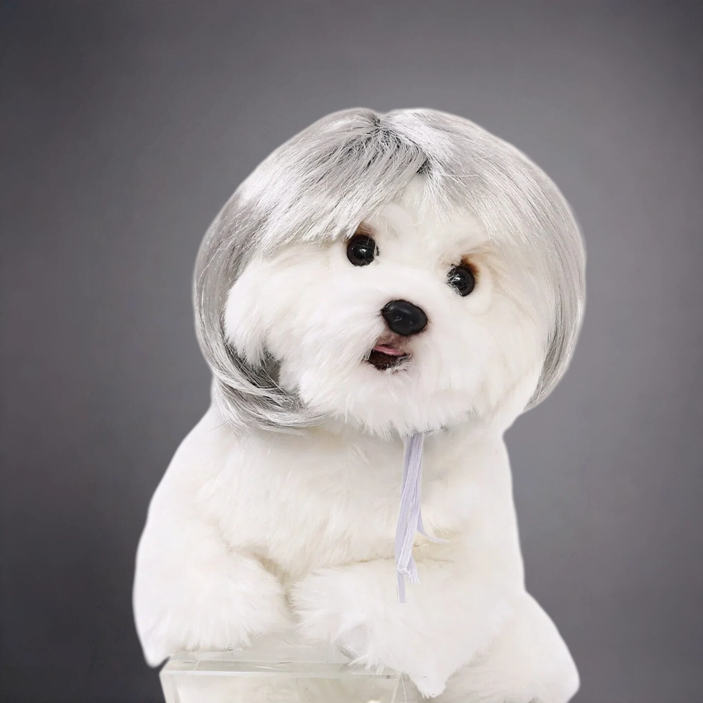 Pet Bob Wig for Dogs & Cats – Funny Short Hair Costume Hairpiece for Cute Photos & Dress-Up