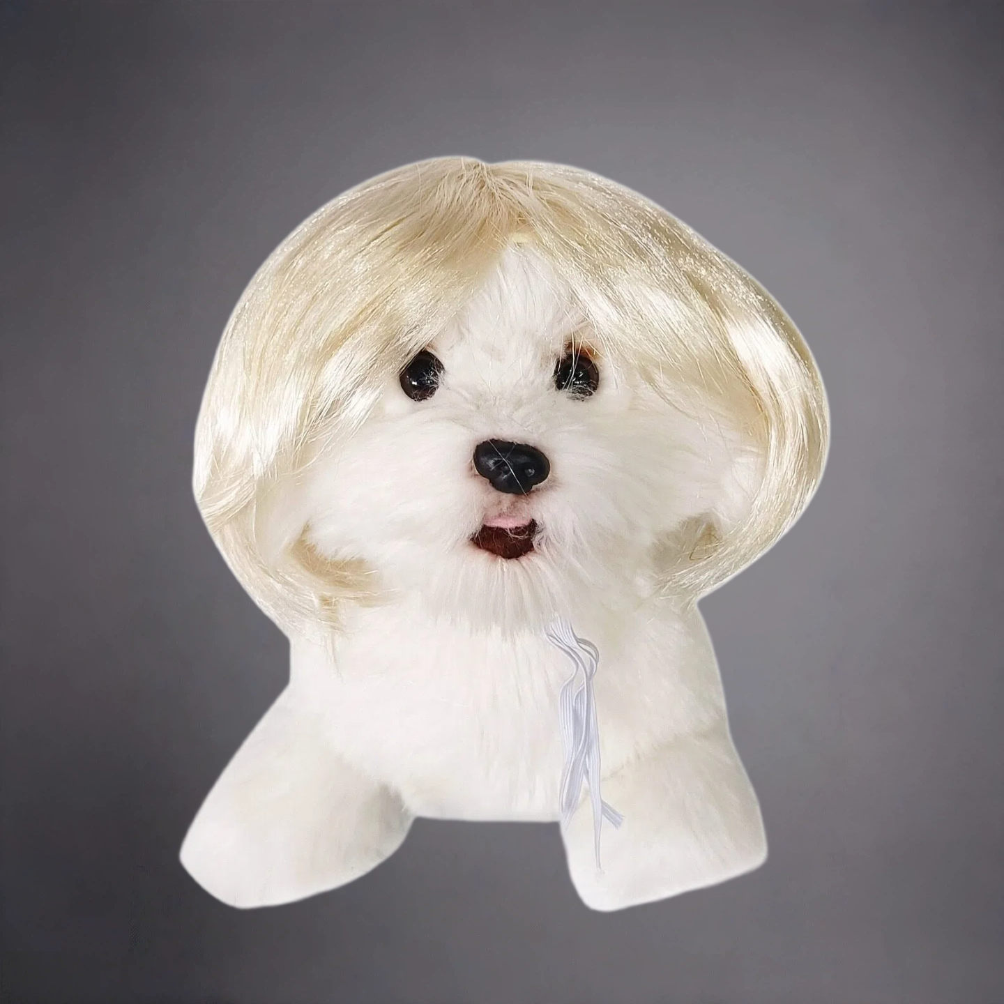 Pet Bob Wig for Dogs & Cats – Funny Short Hair Costume Hairpiece for Cute Photos & Dress-Up