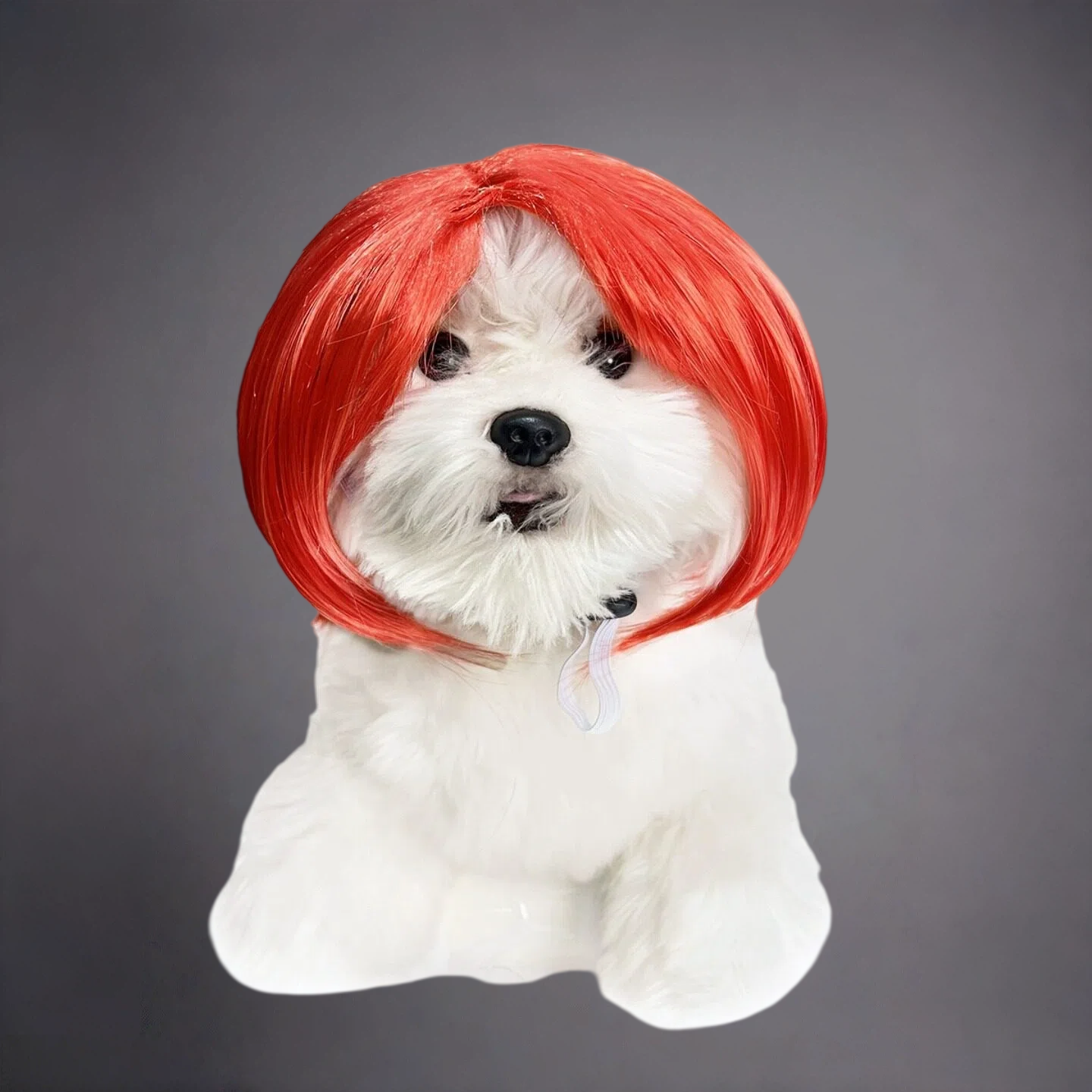 Pet Bob Wig for Dogs & Cats – Funny Short Hair Costume Hairpiece for Cute Photos & Dress-Up
