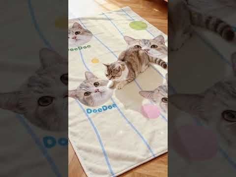 Customized pet blankets, cat and dog themed birthday gifts, nap blankets, sofa blankets